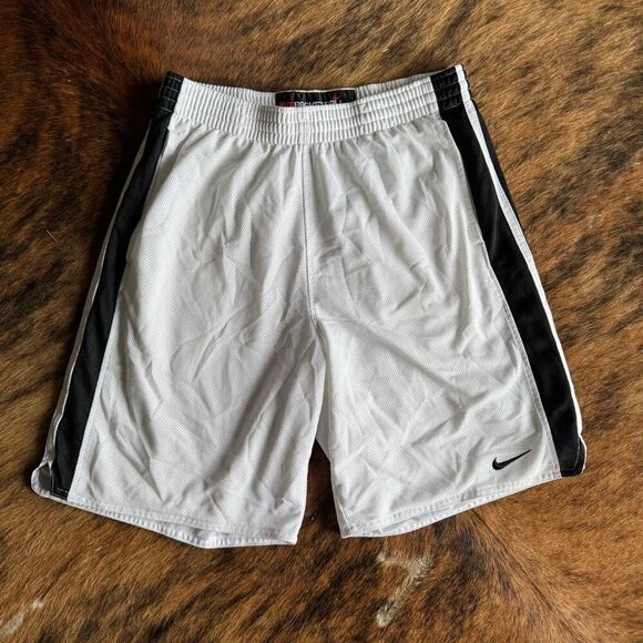 Nike Vitnage Y2K Silky Mesh Dazzle Side Stripe Basketball Shorts Size L - Picture 1 of 6